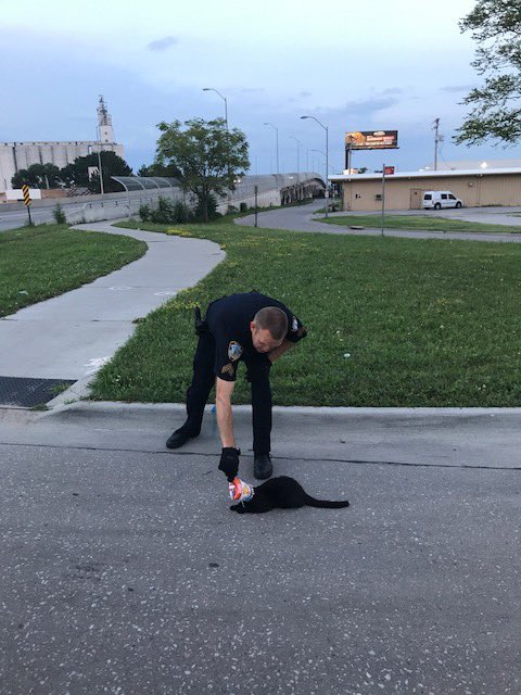 Lincoln_Police's tweet photo. Sgt Muff helped a cat☺️ He saw the cat had a bag stuck on its head so he freed it! #LNK #LPD #CopsDoingGood #BeKind https://t.co/2rUIfu0anq