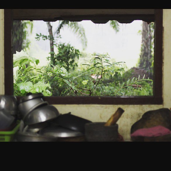 Kitchen window shot - homestay in southern Thailand (som saa Thai trip, April 2017) ift.tt/2u9bpCs