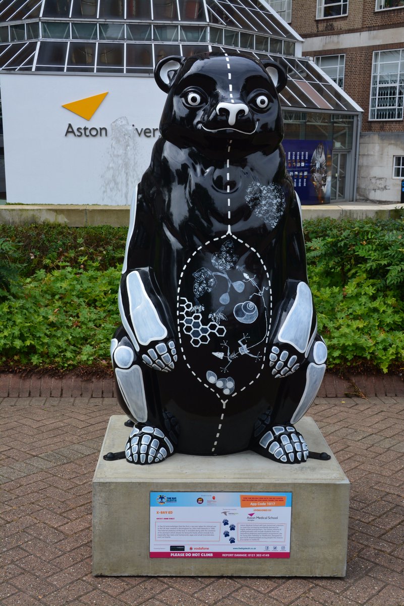 BBB = Bears that Brighten up Bear-ming-ham #TheBigSleuth