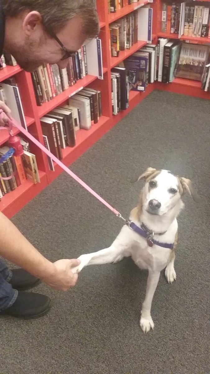 Bookmans Flagstaff tweet media