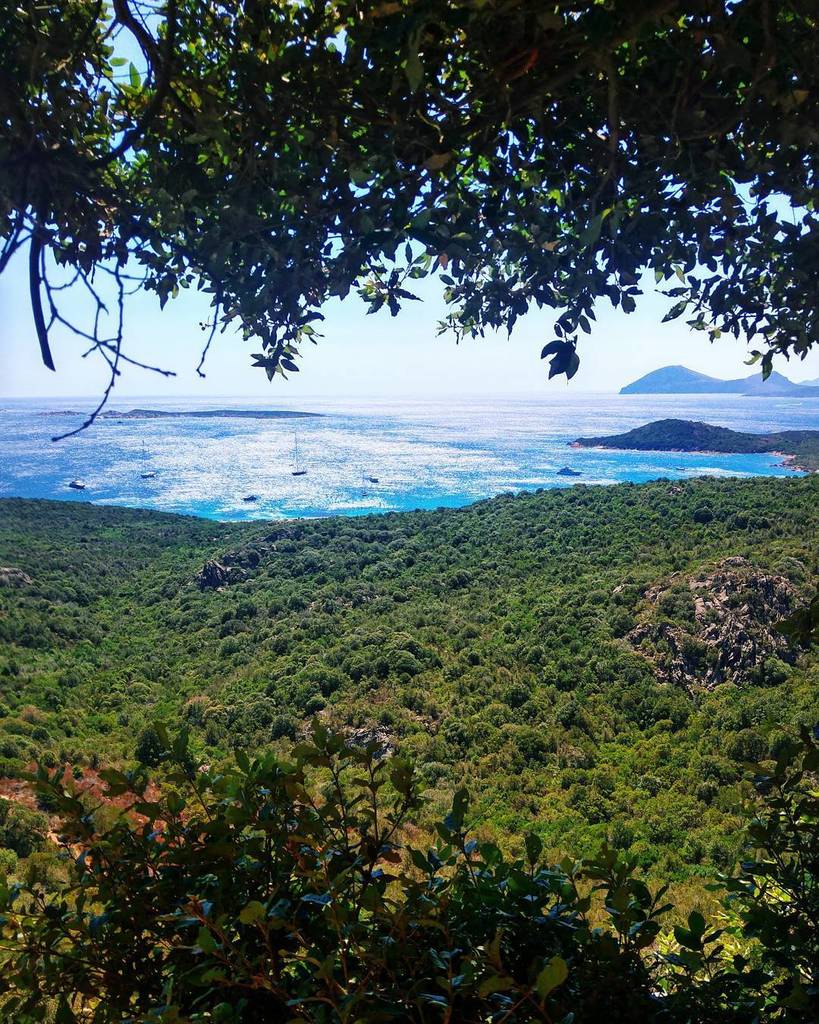 Like a trip in the Amazonian Forest
.
.
.
#costasmeralda #golfoaranci #sardegnagram #sardegna_super_pics #lanuovasardegna #focussardegna #y…