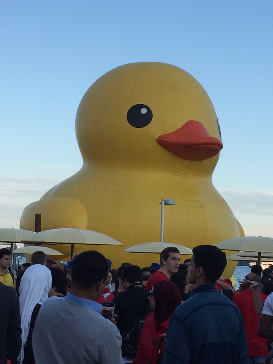 regardnomade's tweet photo. #TasLoupéTonVoyageS si tu es passé à #Toronto sans voir le canard en plastique géant le plus embarrassant du monde ! #Canada https://t.co/a6E9uJkIpS