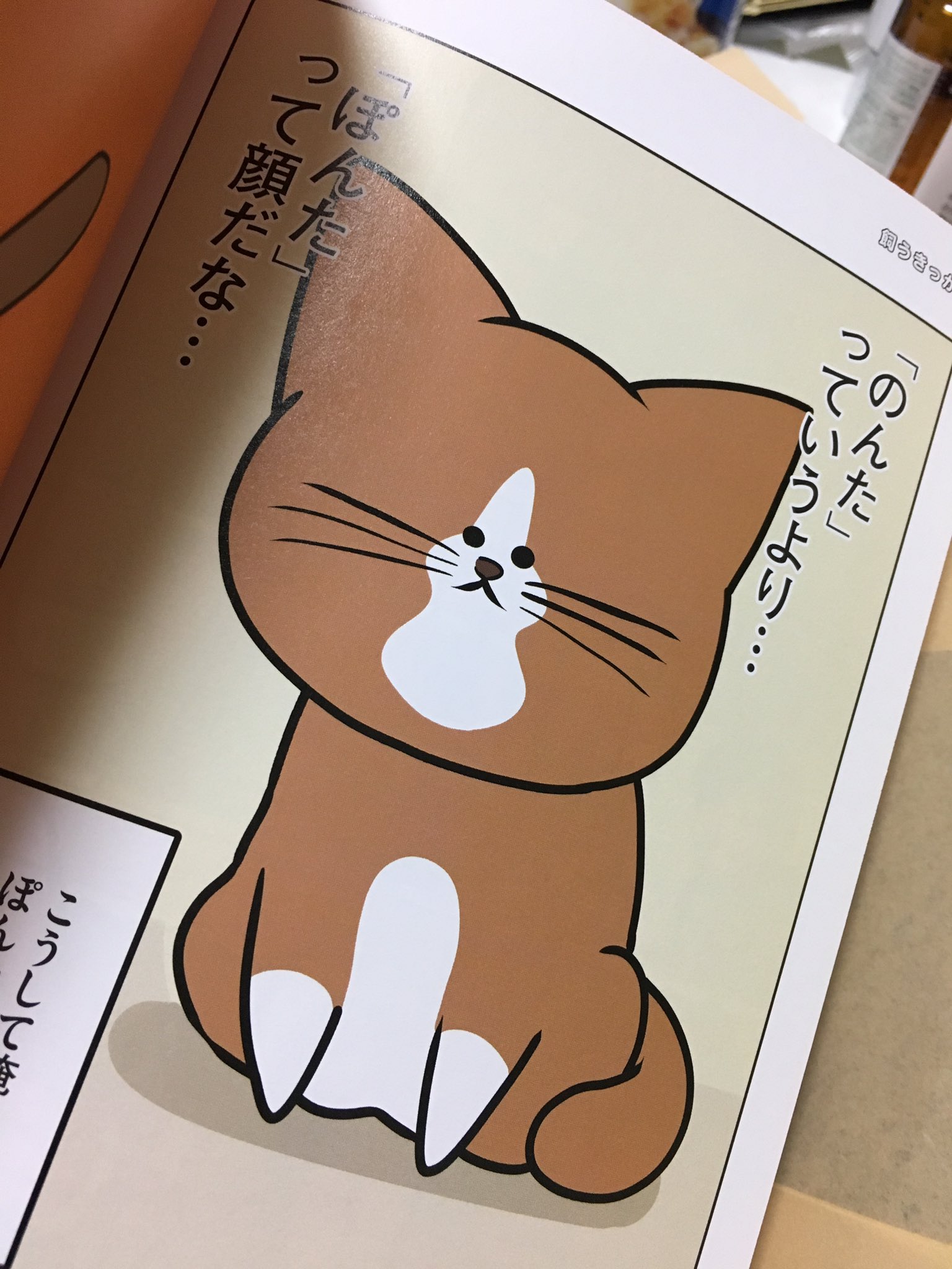 かわいいいいいいい Twitter Search Twitter