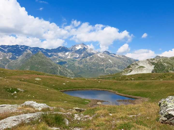 MCristinafernn's tweet photo. Rifugio #Bertacchi, lago Emet♡
#ValleSpluga https://t.co/jVGXVln4ED