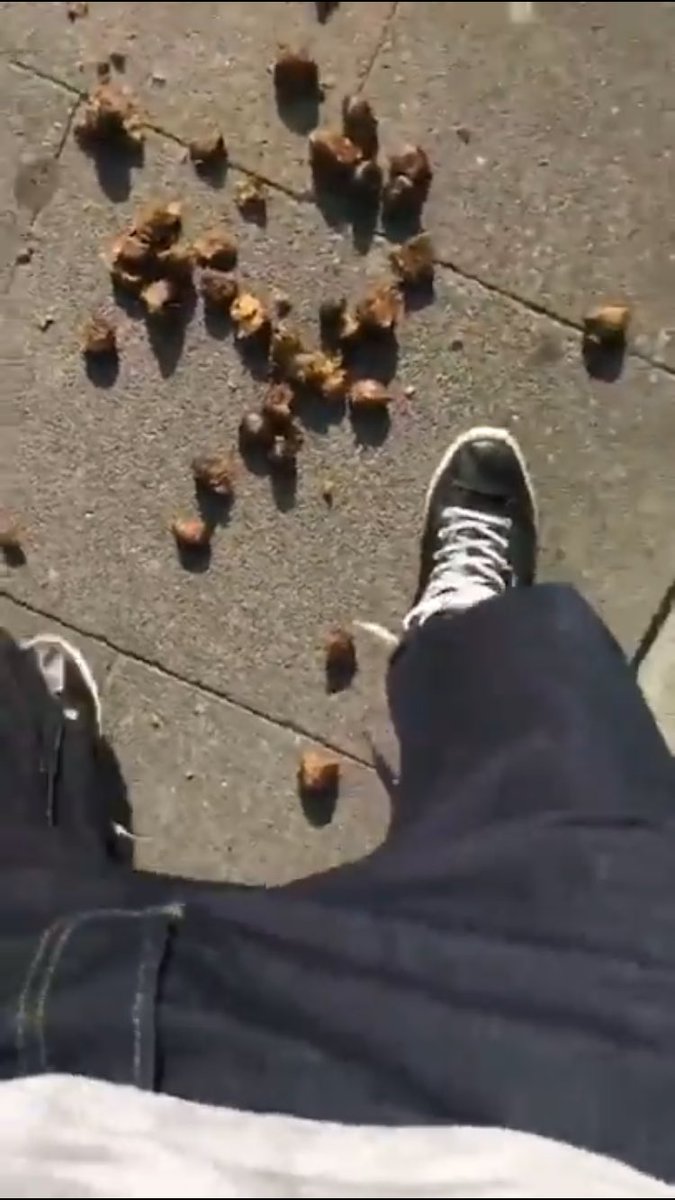 Bimon's tweet photo. Demo, Dung und dumme Dinge: Meine #InstaKram Story geht weiter -> https://t.co/LHbVi0Yh9B https://t.co/nfXr5j4Cy0