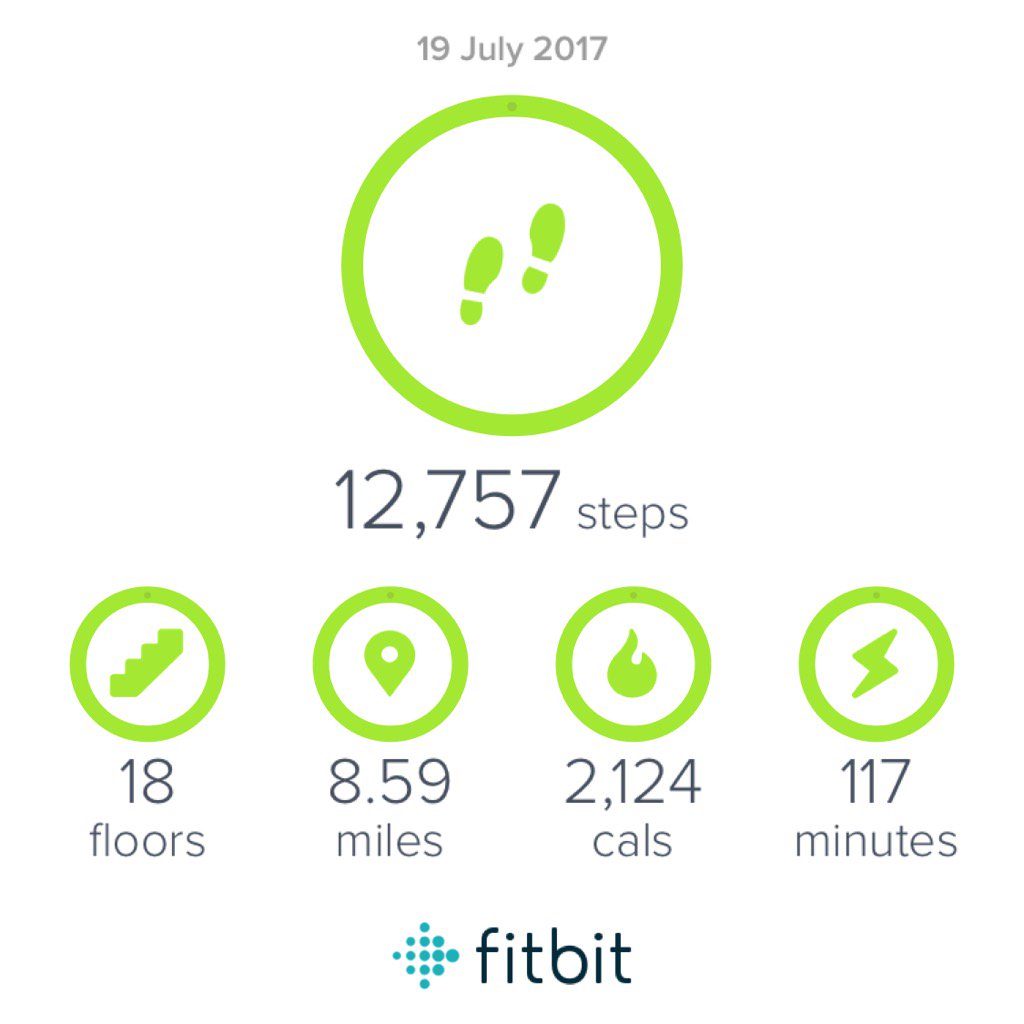 Brackens1's tweet image. Off to bed to read my book #puggled