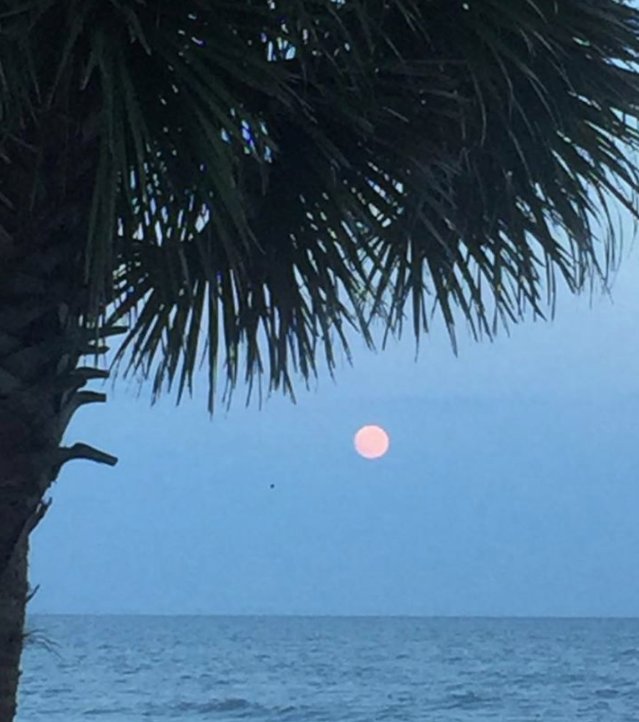 Cabanacafe2's tweet photo. What a perfect shot Mary! #PalmettoMoon #CabanaCafe #MoonlitDining https://t.co/LWBYNkUCPP