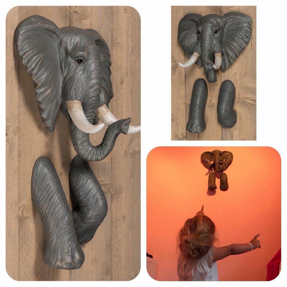 DutchSenses's tweet photo. Prachtig onze olifant uit de collectie KieBoo! Wat een mooi resultaat op een kinderkamer. #kinderkamer #themakamer https://t.co/Ab8qLsByaN https://t.co/98utCeDx15