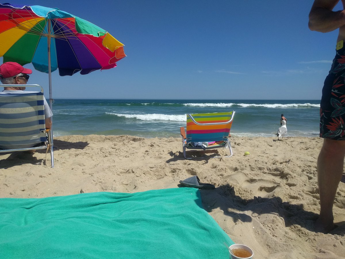 Marissa Grill tweet media