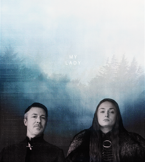 Petyr Baelish (@masteratlying) on Twitter photo 