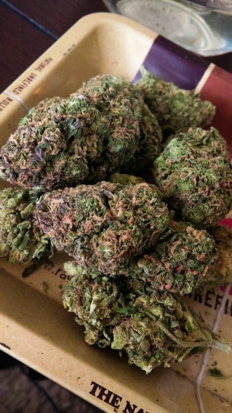 DuGreen4i20's tweet photo. nuggets https://t.co/ozMCiQSlf0