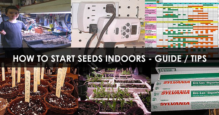 OrganicsOKC's tweet photo. How to Start Seeds Indoors - Best Tips for Starting Seeds - https://t.co/GTRXpmBxjh https://t.co/uocCGS1dXG