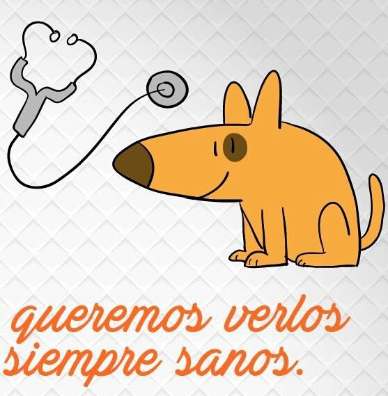 ASOGUAU tweet media
