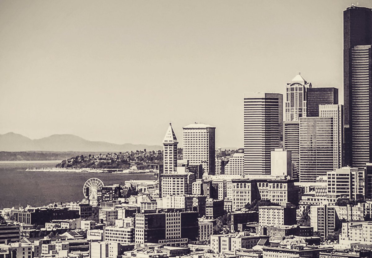 seekingseattle's tweet photo. Our Seattle skyline is constantly changing, yet always feels like home. View of downtown from the iconic Pacific Tower on Beacon Hill. https://t.co/xPdJELQpI1