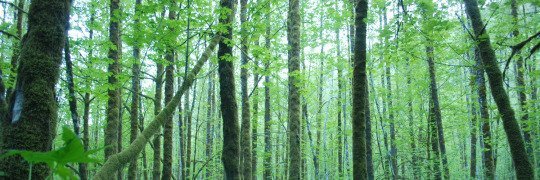 contapropower's tweet image. Pack liberada ®

💎Fav se gostar
💎RT se pegar
💎Credite se usar