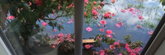 contapropower's tweet image. Pack liberada ®

💎Fav se gostar
💎RT se pegar
💎Credite se usar