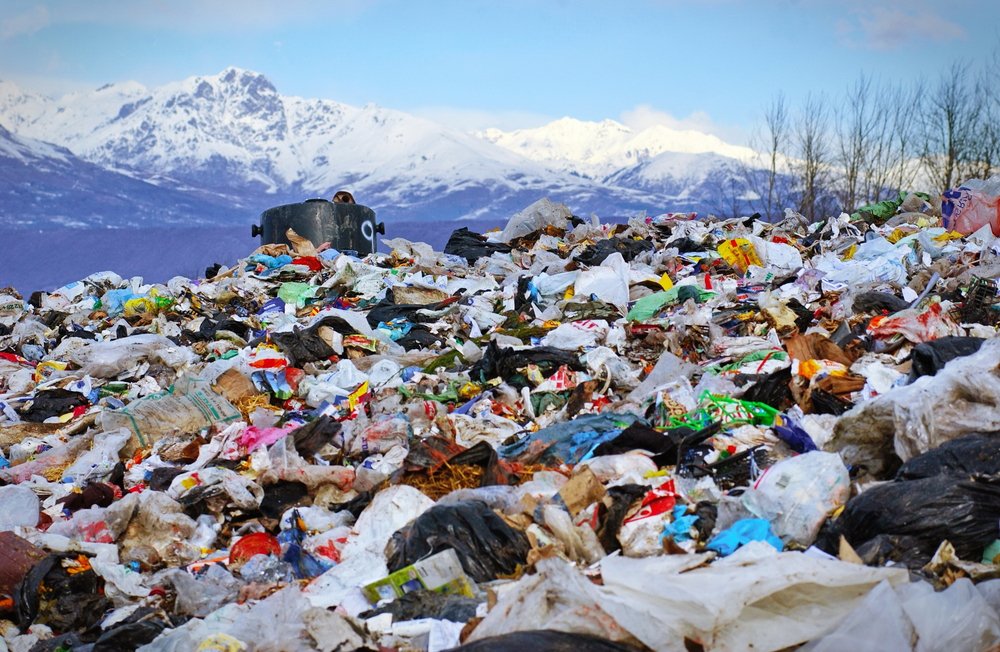 DiscoverMag's tweet photo. Humans have produced as much plastic by weight in less than a century to equal a billion elephants: https://t.co/2HZbUXXuWA https://t.co/jef6W5J8ll