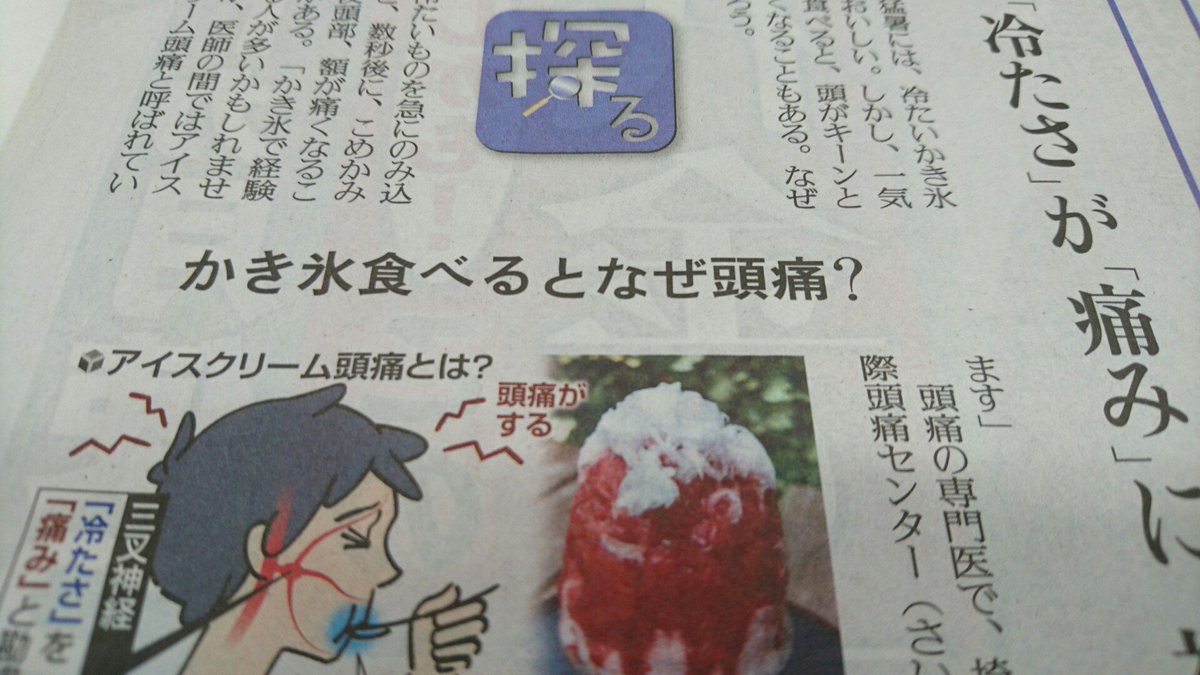 Twitter पर 読売新聞ブランド企画部 かき氷 を食べて頭がキーンと痛くなるという経験 ありますよね この現象 お医者さんの間では アイスクリーム頭痛 と呼ばれているそうです 痛みの理由は解明されていないそうですが 神経の 混線 で冷たさを頭の痛みと