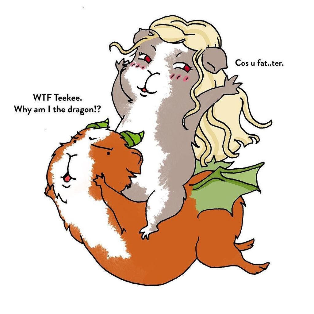 mxyplytx's tweet photo. Kulit and Teekee celebrates the new season of GoT. 👩🏼🐉
.
.
.
.
 #teekee #kulit #guineapig #guineapigsofinstagram #… https://t.co/mmqtv3rIg0 https://t.co/EyJGGwCKua