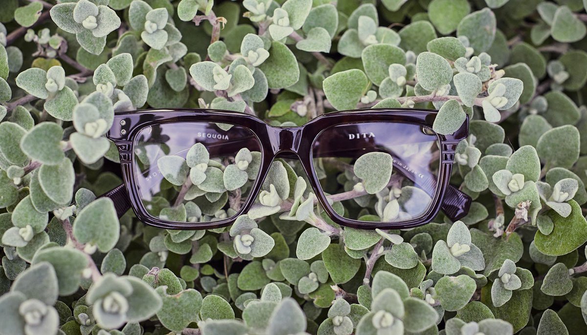 ditaeyewear's tweet image. In view: The SEQUOIA // #DITAeyewear