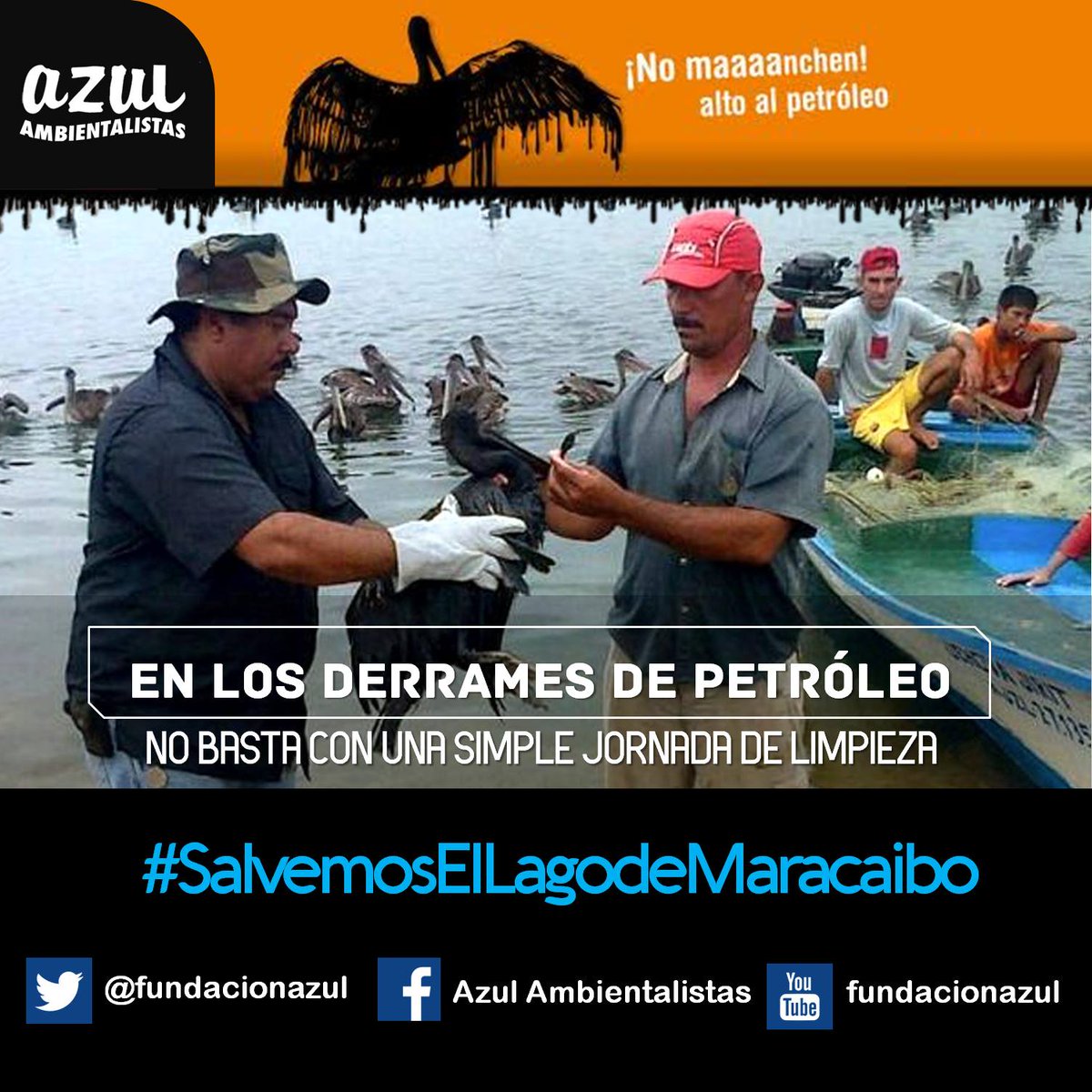 [#Imágenes] @fundacionazul Ambientalistas lanza campaña #SalvemosAlLagoDeMaracaibo → wp.me/p61fyW-9hI