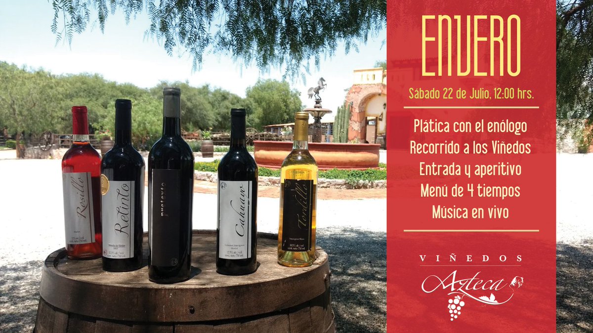 Este sábado 22 de Julio, vive el Viñedo en su mayor esplendor en la fiesta del Envero. Aún puedes reservar: goo.gl/W135xJ