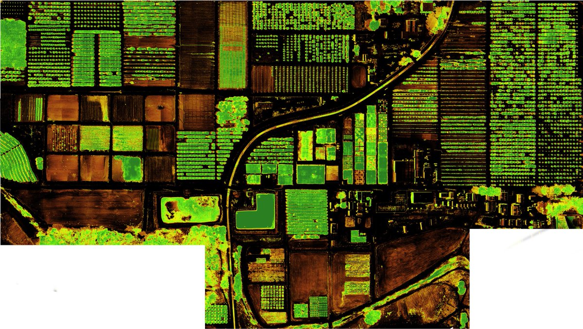 NDVI pic of UCR experimental farm taken by <a href="/EYEON18/">EYEON18</a>. Thanks to them I may not even have to go out to check on my plots!