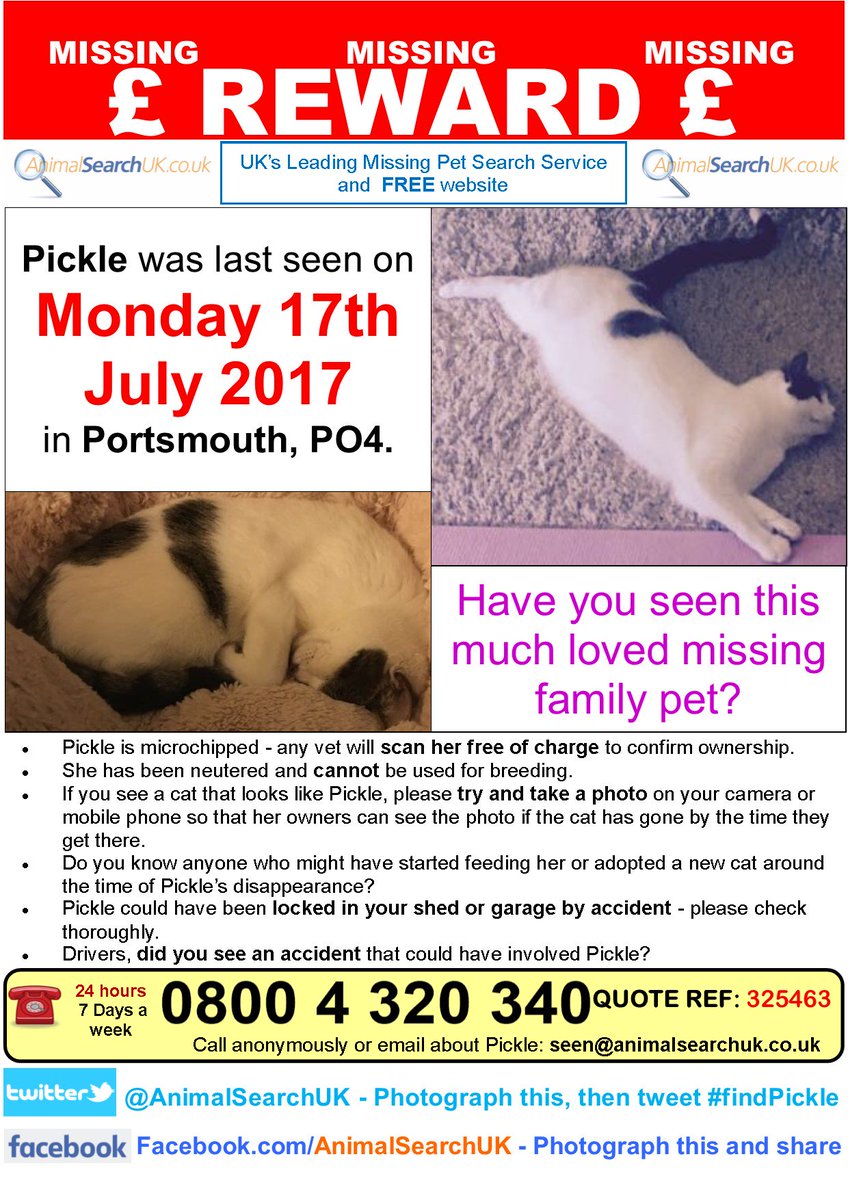 AnimalSearchUK's tweet photo. PLZ RT @portsmouthnews @portsmouthonlin @RSPCA_official #missingcat #portsmouth #PO4 #FINDPICKLE
https://t.co/9sdHRrWuav https://t.co/Md2ws4RyKq