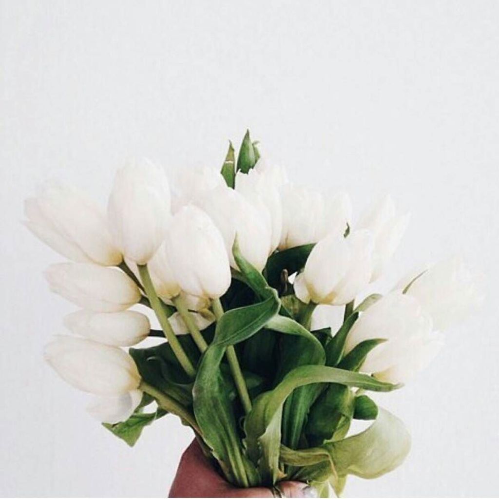 Sencillo y elegante...
.
Un ramo de tulipanes puede ser simplemente perfecto.
.
.
.
.
Vñia @valsampson

#inspirati… ift.tt/2ubBX7K