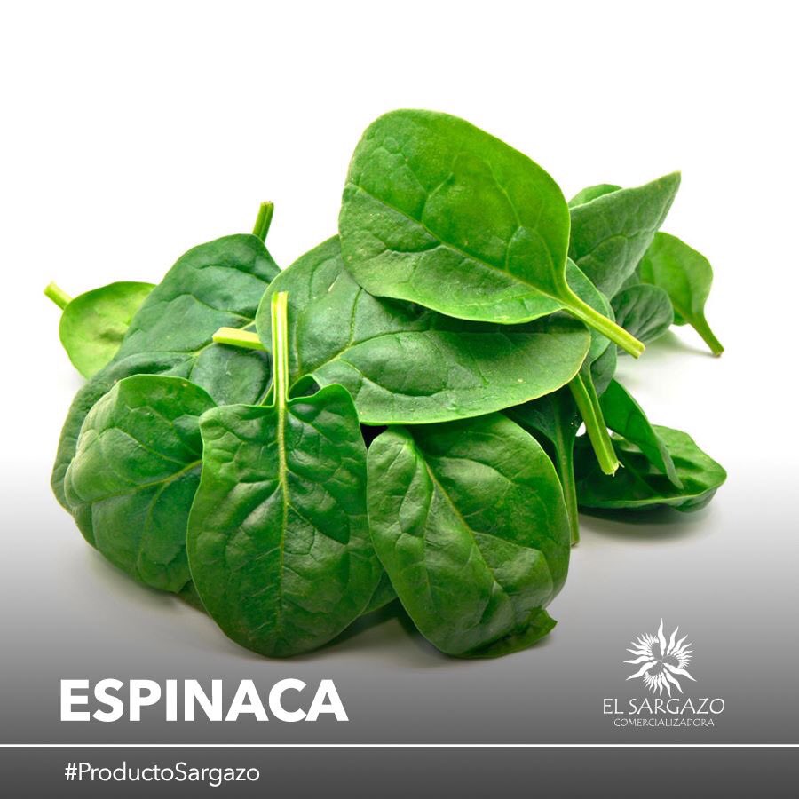 El Sargazo tweet media