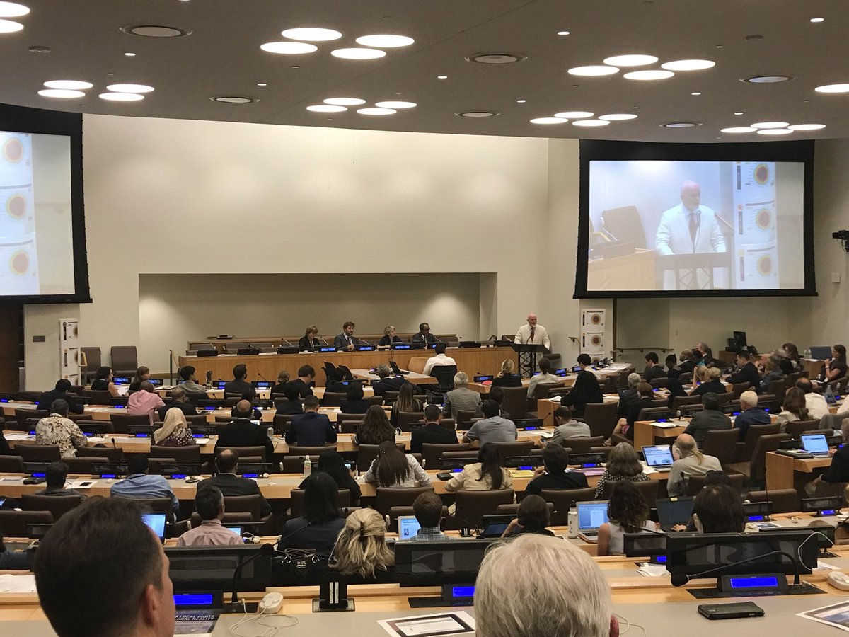 DrSustainable's tweet photo. Proud to be representing @NBSNU at the @UN In New York this week at the @PRMESecretariat Global Forum discussing #SDGs and #highered https://t.co/nhO5kqvxzk