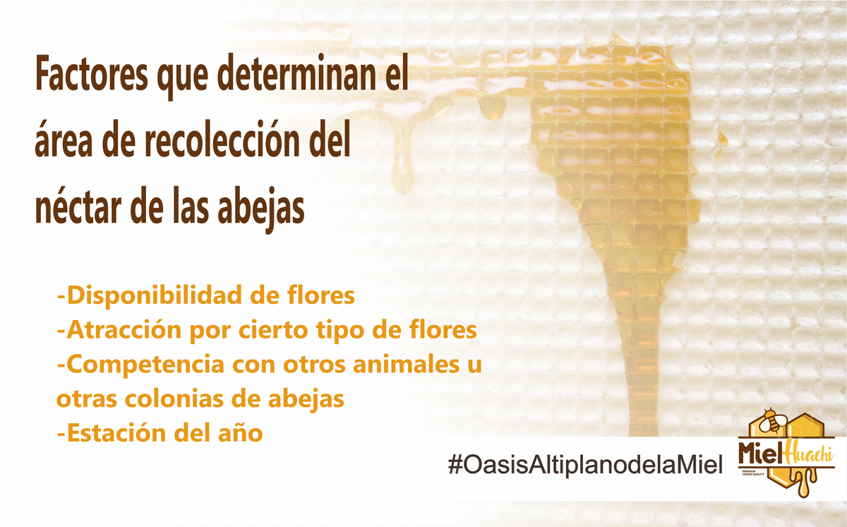 MielHuachiSLP's tweet image. #OasisAltiplanodelaMiel