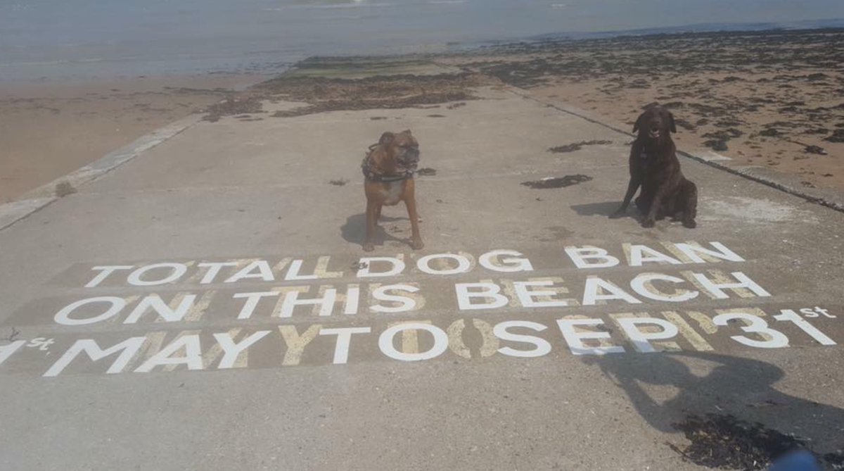 colinholden's tweet photo. Oh @ThanetCouncil you are absolutely priceless !! 😂🤓 #MinnisBay #September31st #averylongmonth @Gemprecon1 @piko4566 Council Tax well spent https://t.co/tHaSkeBtSJ