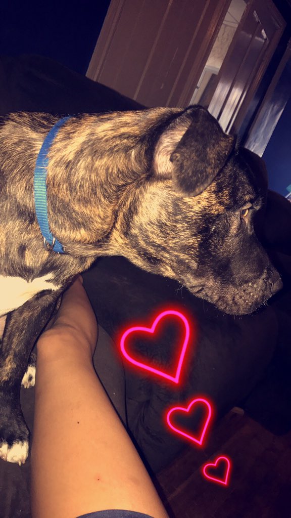 carterrxo_s's tweet photo. #CrazyCarter🐶 https://t.co/AalLtbxnWk