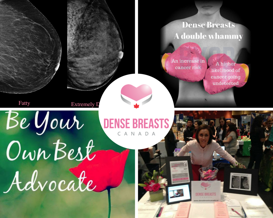 Our 6 month advocacy-versary. Here's what we've been up to bit.ly/2uK4Mtw  thankful for the support of amazing women and advocates