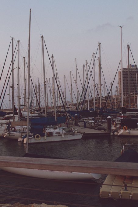 🥀🥀 https://t.co/J4MqoyHtLi<a href="/tag/girl"class="tags"><span>#girl</span></a><a href="/tag/costume"class="tags"><span>#costume</span></a><a href="/tag/trending"class="tags"><span>#trending</span></a><a href="/tag/31daysofhalloween"class="tags"><span>#31daysofhalloween</span></a><a href="/tag/onlyfans"class="tags"><span>#onlyfans</span></a>