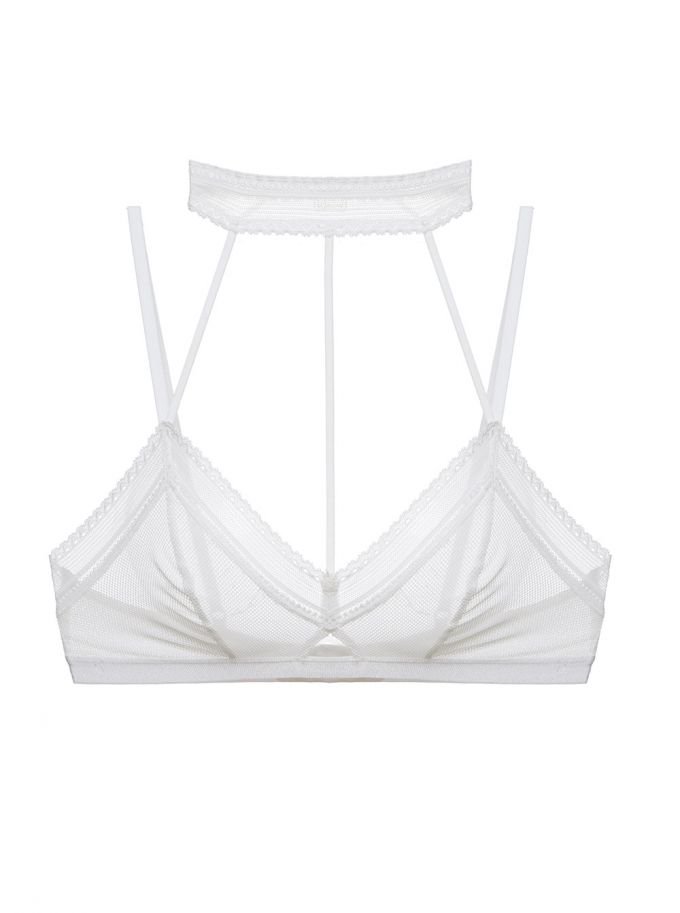 shopcosabella's tweet photo. Which color of the Bisou Lace Choker Bralette is more your style? #ColorsofCosabella #ItalianLingerie https://t.co/fKmpdqbBbr