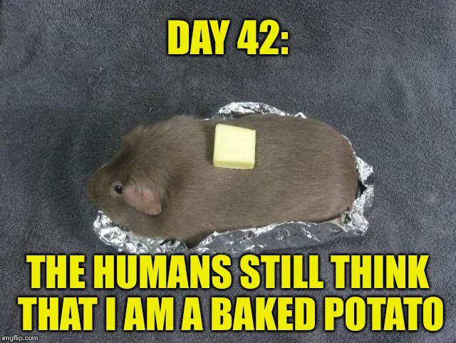 BrainSamich's tweet photo. That baked potato looks mighty yummy! EP.28 #BrainSamich #WellnessWednesday #Podernfamily #Podcast #Food #Potatos https://t.co/YLcTkifI3e https://t.co/N8JrBTcL23