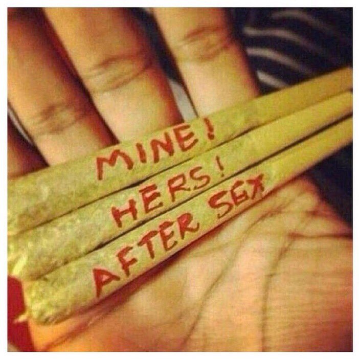 TheTimeIGotHigh's tweet photo. If we date: https://t.co/2jJOKdKb8b