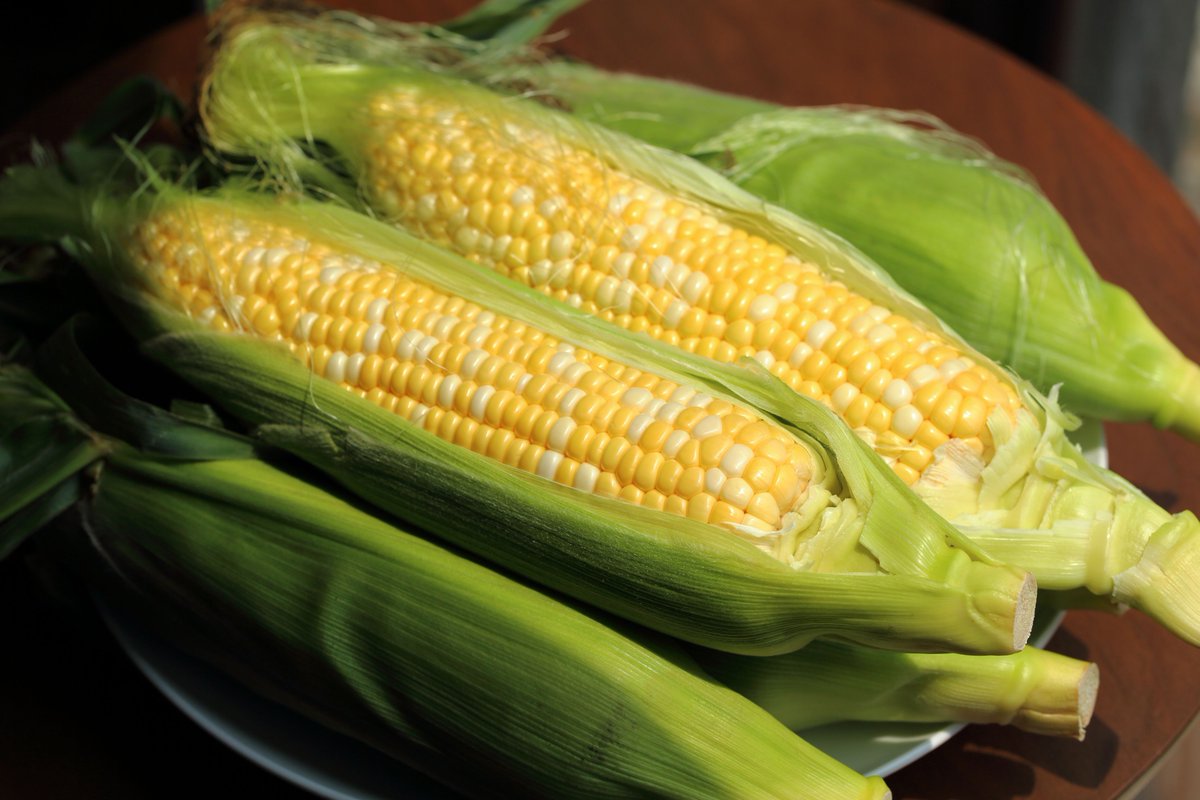 EcoSafeZW's tweet image. This is the time of year for delicious corn on the cob 🌽
Conveniently it comes in its own 100% #compostable packaging!
