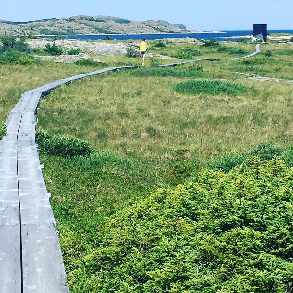 WWHYTE_LSSD's tweet photo. #towerstudio on #fogoisland #newfoundland @fogoislandinn https://t.co/cMBp8QiAvo https://t.co/iTtC8AFDDR