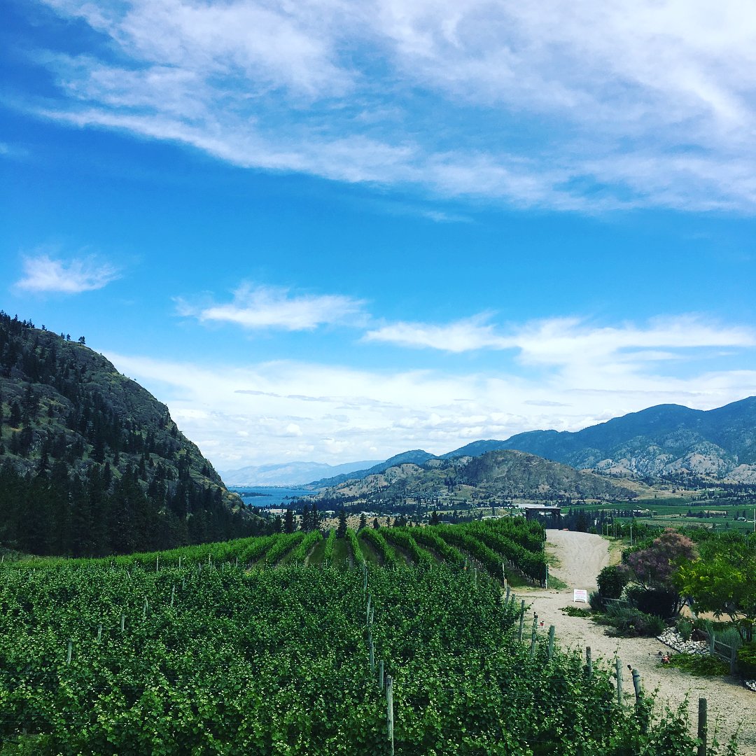 SYLRanchWinery's tweet photo. Wish you were here π· @mynextmeal on Instagram. #SYLSummer https://t.co/WqeUqzu9KM