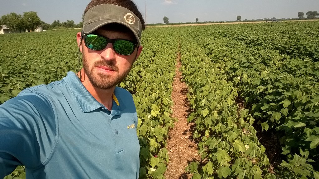 WesSRodgers1's tweet photo. Heat stress on left no stress on right #priaxor #ethylenereduction #striptrial #95degrees #planthealth #basftweets https://t.co/xBvlaBtGzr