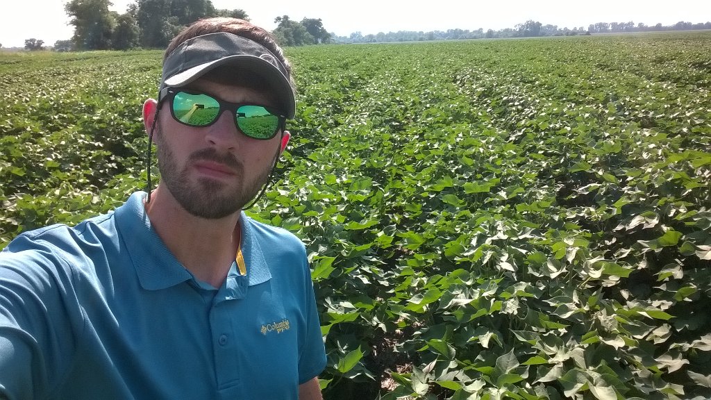 WesSRodgers1's tweet photo. Heat stress on left no stress on right #priaxor #ethylenereduction #striptrial #95degrees #planthealth #basftweets https://t.co/xBvlaBtGzr