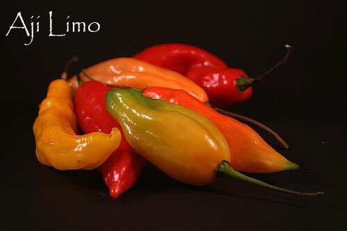 Pisco41's tweet photo. El ají limo es una variedad de ají picante, que destaca por su aroma a limón. Es protagonista de la gastronomía peruana. 😋 https://t.co/BFLRybmylF