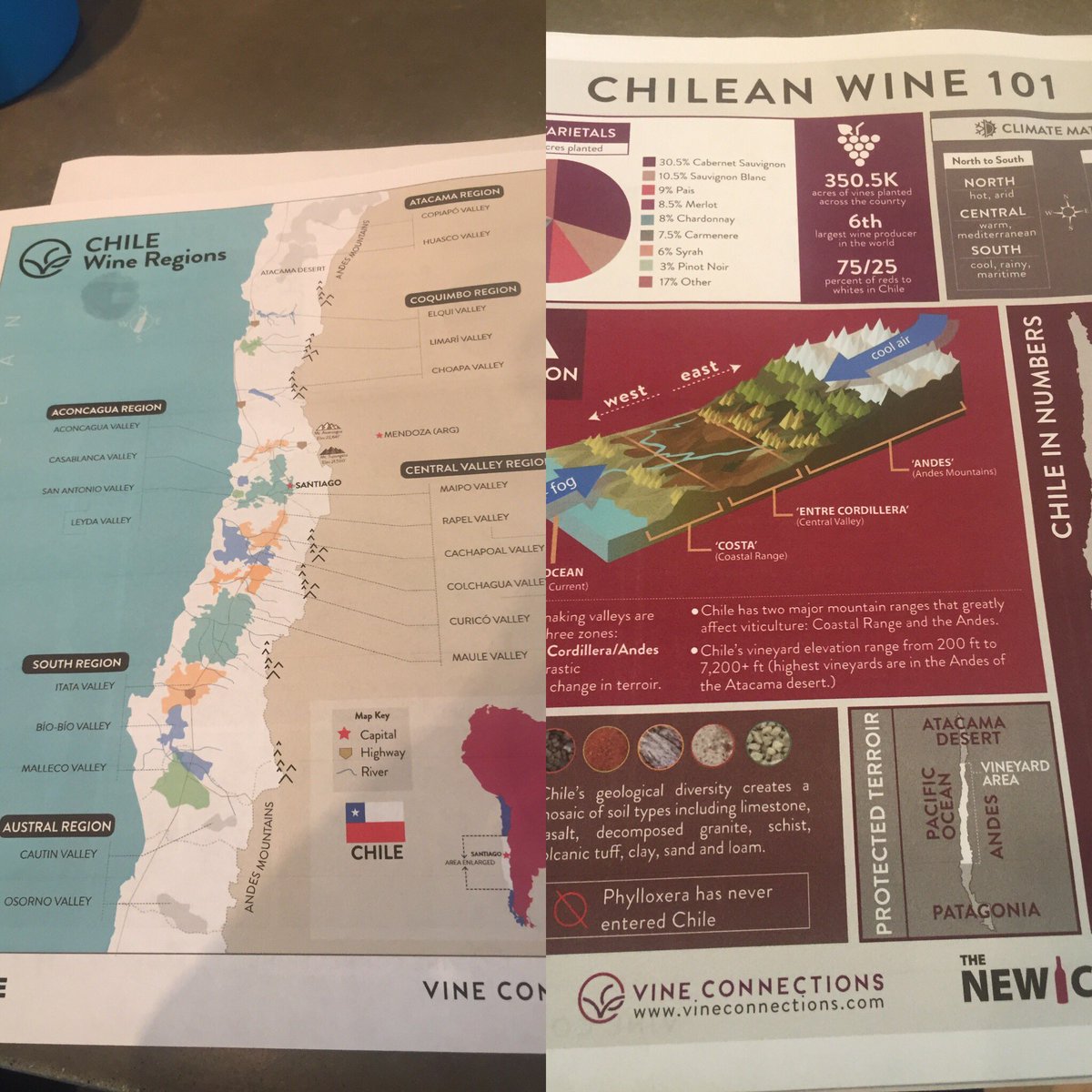 Sweet maps and facts from <a href="/vineconnections/">Vine Connections</a> for <a href="/guildsomm/">GuildSomm International</a> #chile #masterclass <a href="/corkbuzzclt/">Corkbuzz Restaurant</a> #wine #thenewchile