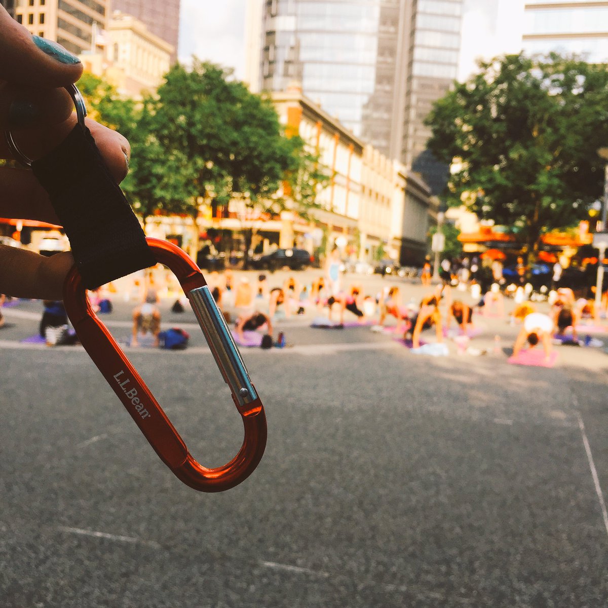 WHIRL Magazine tweet media