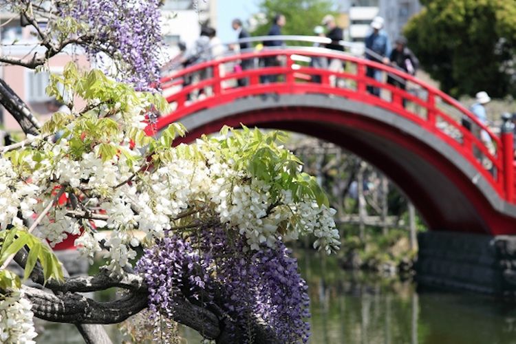 1LDK Secondhand Apartment @ Koto-ku, Tokyo for Sale!
For more information please click the link below:
buff.ly/2t9XFWt