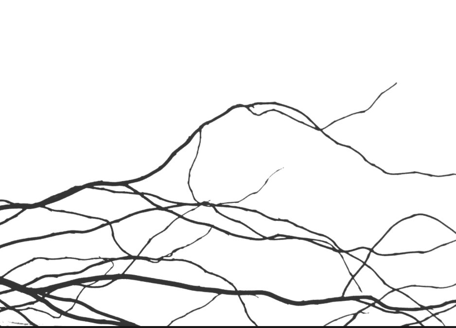 crowsigns's tweet image. We Are Up &amp;amp; Running! crowsignsemb.ca/2017/07/19/we-…