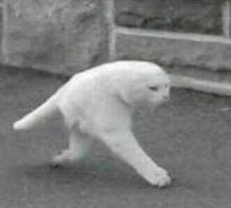 About to play a gig!!! catch us if u can!